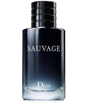56d1512a_31bf_4d84_a3a8_5b92b5e3f923__sauvage_edt_100ml_500x500_1-8